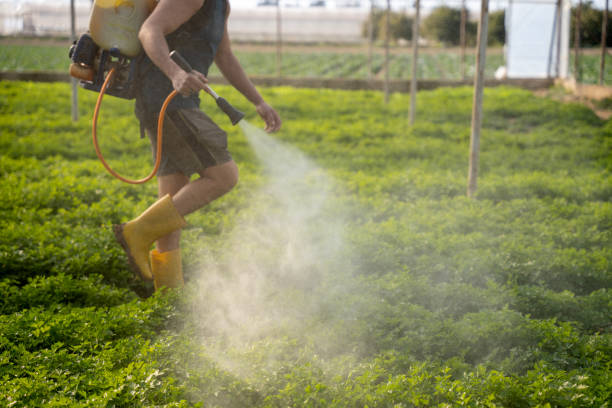 Best Affordable Pest Control Services  in Atwood, TN