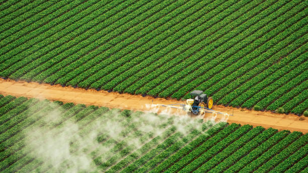 Best Local Pest Control Services  in Atwood, TN