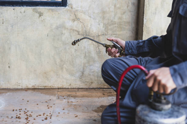 Best Affordable Pest Control Services  in Atwood, TN