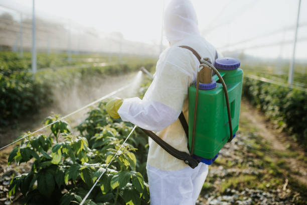 Best Mosquito Control Services  in Atwood, TN